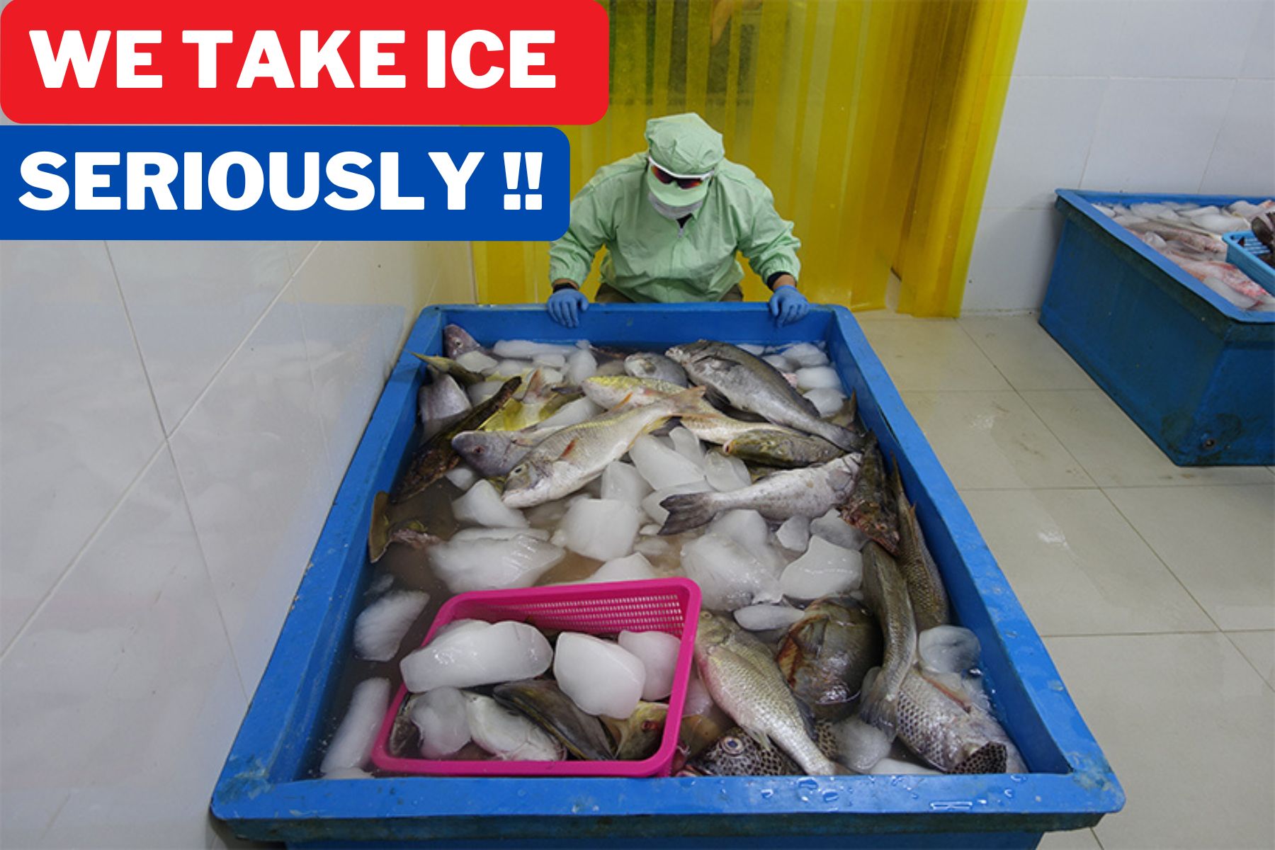 Ensuring Cold Chain mangement for all our fish